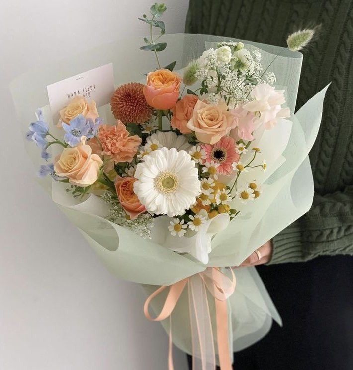 download (4) download (4)